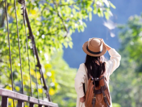 過年國旅怎麼玩最省？高鐵聯票、台鐵慢遊優惠整理，入住永續旅宿享回饋、還能抽免費旅行